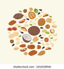 Big collection of nuts and seeds in circle form. Various nuts isolated on white, pecan, macadamia, brazil nut, walnut, almonds, hazelnuts, pistachios, cashews, peanuts, coconuts. Top view vector flat 
