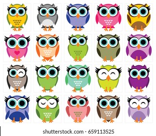 Big Collection of Owl Bird
