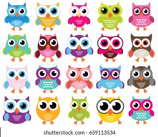 Big Collection of Owl Bird