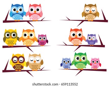 Big Collection of Owl Bird