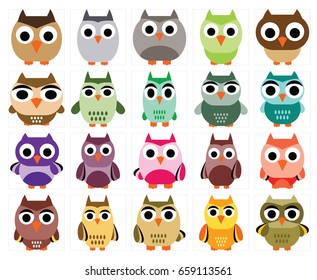 Big Collection of Owl Bird
