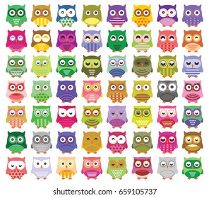 Big Collection of Owl Bird Illustration
