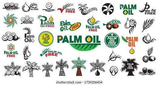 Big collection of Palm Oil design icons set. hand drawn and computer design. Usable for banners, advertisement, decoration and etc. 