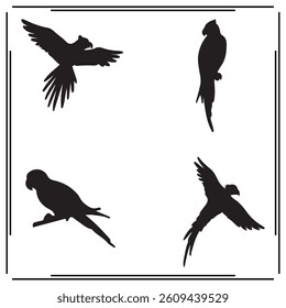 A big collection of Parrot silhouette set, Parrot silhouette logo isolated on white background.