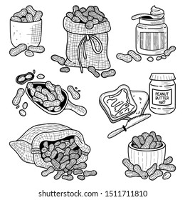 Big collection of peanuts in hand drawn style. Set of ink sketches nuts and a sandwich with peanut butter. Doodle vector illustration isolated on a white background.