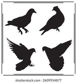 A big collection of Pigeon silhouette set, Pigeon silhouette logo isolated on white background.