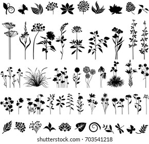 Big collection of plants