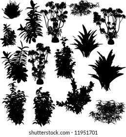 Big collection of plants silhouettes