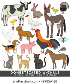 Big Collection Of Premium Quality Vector Illustrations Of Domesticated Animals