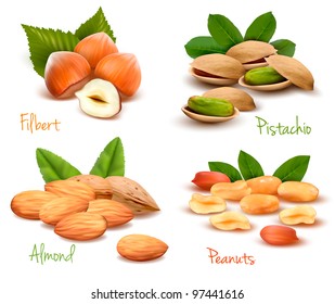 Big collection of ripe nuts. Vector