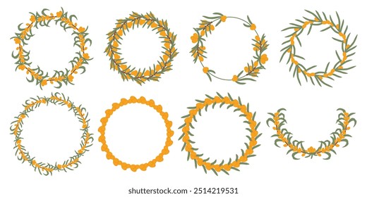 Big collection of sea buckthorn berry wreaths with green leaves, depicting circular compositions of the vibrant orange berries and luxuriant foliage.