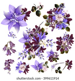 Gran colección o conjunto de flores de campo vectorial realistas para el diseño