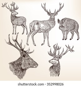 Big collection or set of vector engraved hand drawn  in vintage style