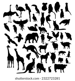 Big collection silhouettes animals and birds. Vector illustration. Isolated hand drawings on white background for design