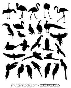 Big collection silhouettes birds. Tropical parrots, flamingo, toucan, seagull, swan and peacock, pelican, owl and raven, dove. Vector illustration. Isolated fowls on white background