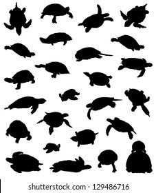 Big collection of silhouettes of turtles