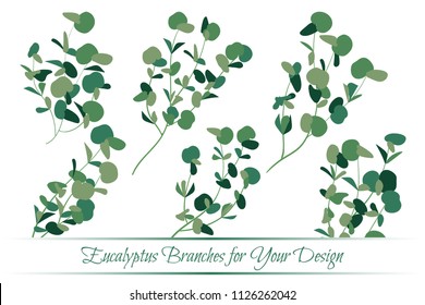 Big Collection of Silver Dollar Eucalyptus Leaves. Vector Branches. Vintage Foliage. Elegant Herbal Elements for Wedding Design, Invitation, Greeting. Different Eucalyptus Leaves in Watercolor Style.