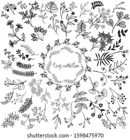 Big collection of twigs isolated on a white background. Vector graphics.