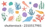 Big collection of underwater elements. Set of cartoon seashells, seaweeds, corals. Summer marine background with hand drawn colorful shell, algae, starfish, 