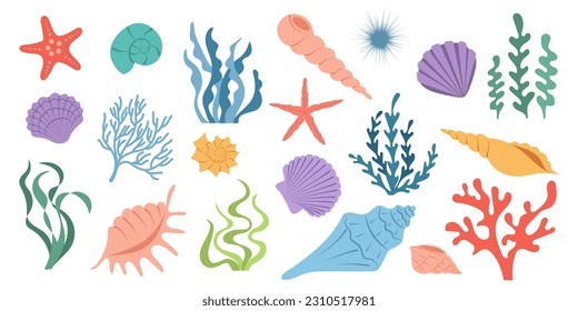 Big collection of underwater elements. Set of cartoon seashells, seaweeds, corals. Summer marine background with hand drawn colorful shell, algae, starfish, 