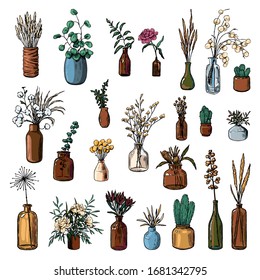 Big collection of varied vases, bottles, and jars of flowers and plants. Hand drawn vector illustration. Vintage botanical set. Decorative floral colorful elements isolated in white. Usable for design
