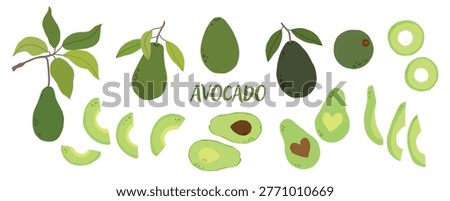 Big collection of various avocado illustrations, including branches, whole fruit, halves, and slices. Comprehensive vector isolated set for food design