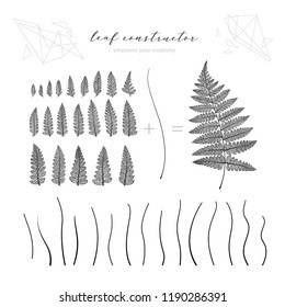 Big collection of vector branch and fern leaf, fall, spring, summer. Detailed macro illustration, not autotrace, constructor design