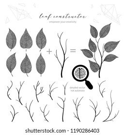 Big collection of vector branch and leaf, fall, spring, summer. Detailed macro illustration, not autotrace, constructor design