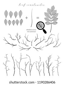 Big collection of vector branch and leaf, autumn, spring, summer. Detailed macro illustration, not autotrace, constructor design