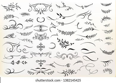 Big collection of vector calligraphic flourishes for design