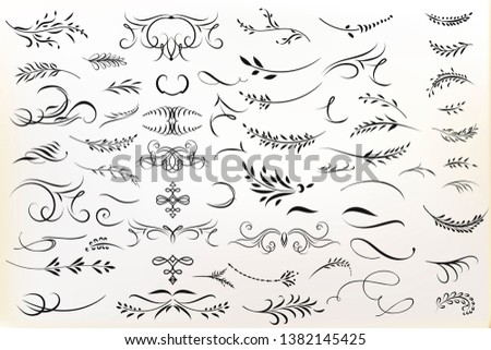Big collection of vector calligraphic flourishes for design