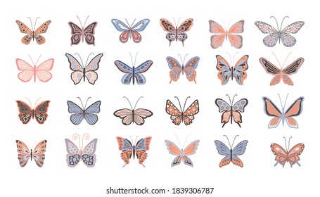 Big collection of vector design elements of insects. A set of beautiful butterflies for printing on dishes, prints, kitchen utensils, stickers on the wall, window, laptop. Cute multicolored
