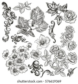 Big collection of vector flowers and plants drawn in old style