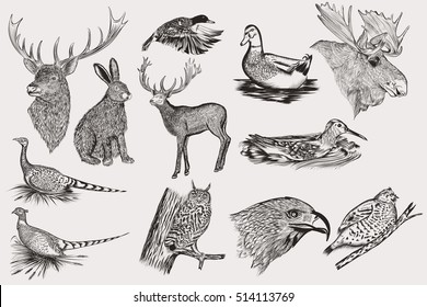 Big collection of vector hand drawn animals for design