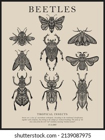 Big collection of vector insect sketches with patterns. beetles and butterflies. Set of entomological drawings. Outlines of insects for print, banner, poster, tattoo, card design.