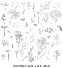Big collection of vector modern lined flowers