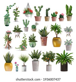 Big collection of vector realistic detailed house or office plant for interior design and decoration. Tropical and Mediterranean plant and flowers plant cactus for interior design and decoration - Shutterstock ID 1936007437