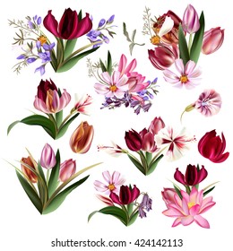 Big collection of vector realistic flowers tulips cosmos and other