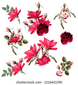 Big collection of vector red, pink rose flowers for design