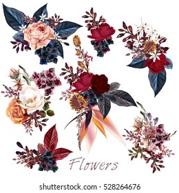 Big collection of vector roses and leafs for design