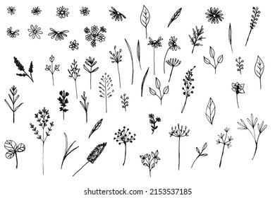 Big collection of vector simple modern florals in rustic style