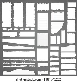 Big collection of vector torn paper sheets illustration. Set of blank ripped paper graphic design elements. 
