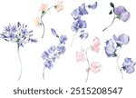 Big collection of watercolor elements on a white background. Hand drawn illustration. Pink and purple flowers, green leaves. Pansies, hibiscus, sweet peas, eucalyptus. Picture for romantic design.