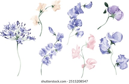 Big collection of watercolor elements on a white background. Hand drawn illustration. Pink and purple flowers, green leaves. Pansies, hibiscus, sweet peas, eucalyptus. Picture for romantic design.