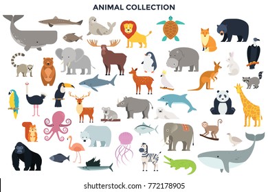 Big collection of wild jungle, savannah and forest animals, birds, marine mammals, fish. Set of cute cartoon characters isolated on white background. Colorful vector illustration in flat style.