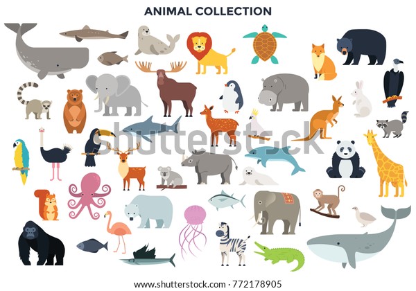 Big collection of wild jungle, savannah and forest\
animals, birds, marine mammals, fish. Set of cute cartoon\
characters isolated on white background. Colorful vector\
illustration in flat\
style.