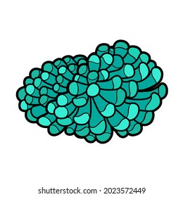 Big colony of anemones  color variation for coloring page isolated on white background