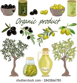 Big colored set with olives.Olives and products from them in color illustration on a white background.