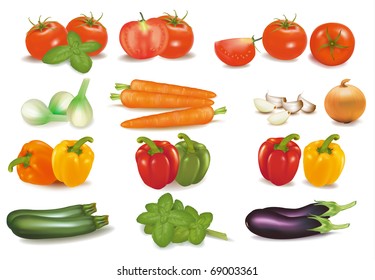 The big colorful collection of vegetables. Photo-realistic vector.