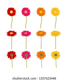 Big Colorful Gerbers Flowers Set, Vector Illustration